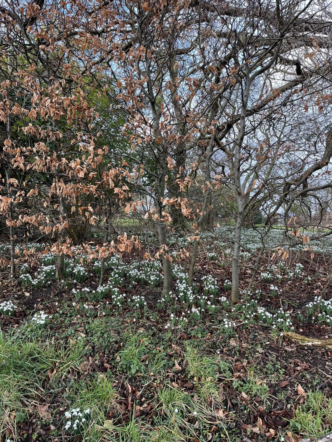 2025-02-16 32 Harleston and Needahm.jpg