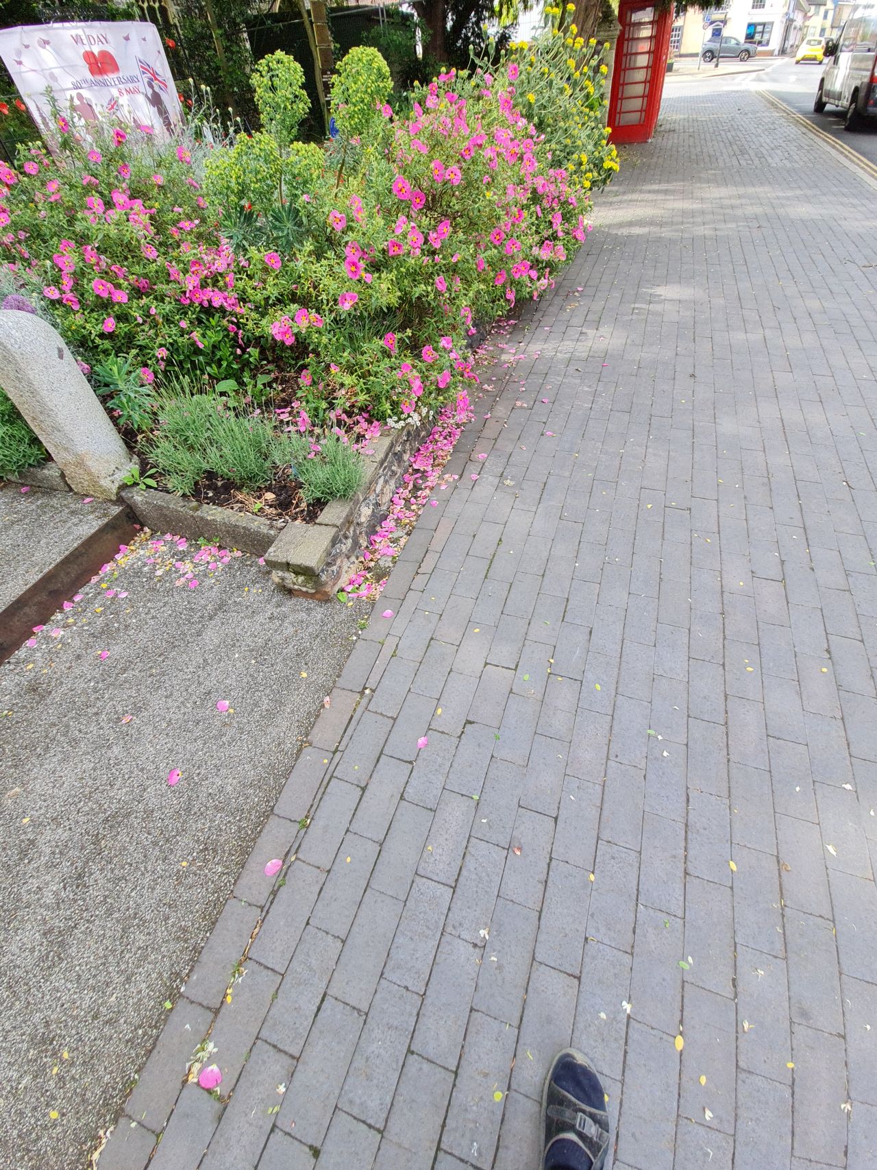 2025-05-29 03 Bus 81 Harleston Bus Stop.jpg