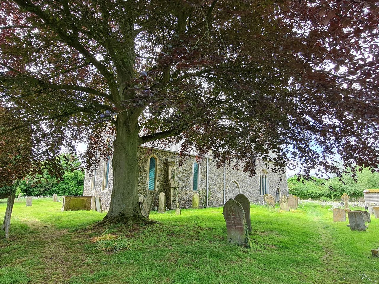 2025-05-29 22 Bus 81 Rushall Saint Mary.jpg