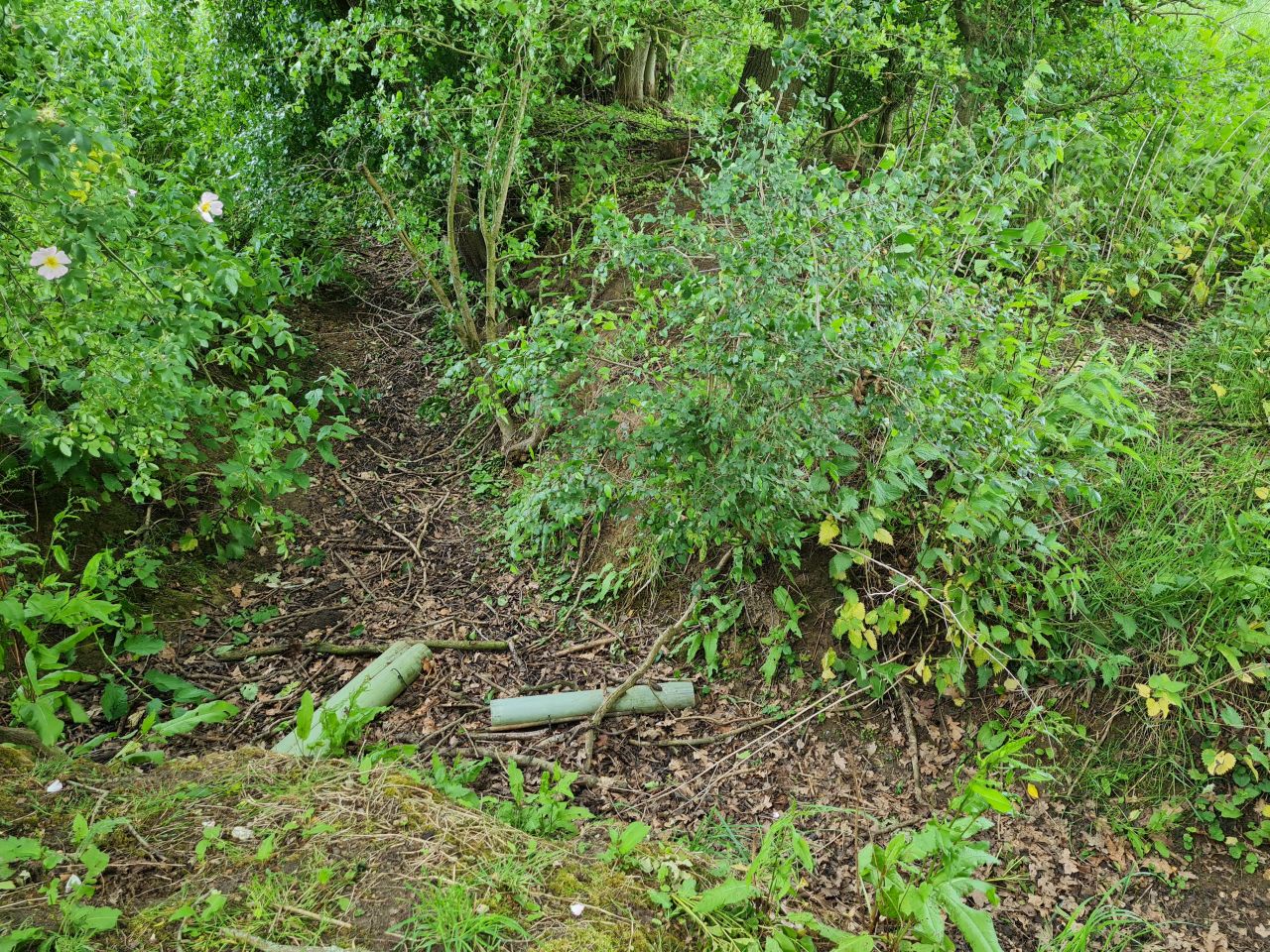 2025-05-29 37 Bus 81 Missing Sleeper Bridge.jpg