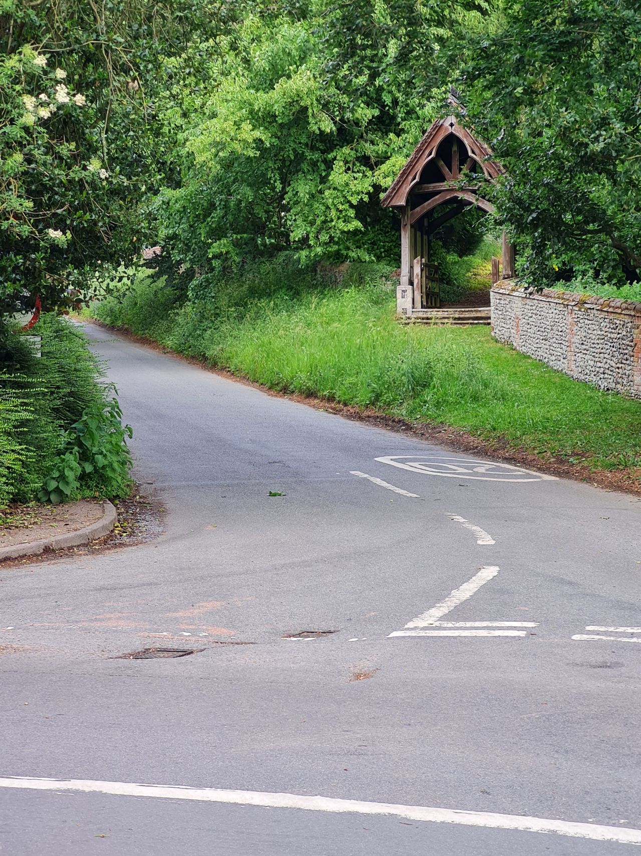 2025-05-29 46 Bus 81 Starston Saint Margaret.jpg