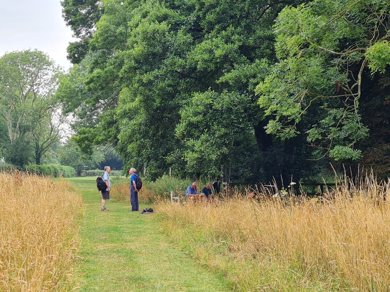 2025-07-19 09 Harleston Redenhall Mendham and Starston.jpg