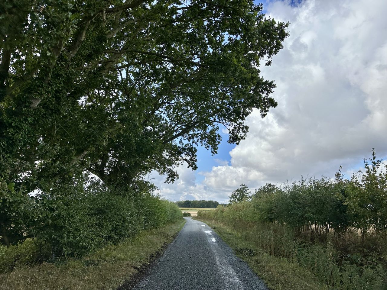 2026-08-30 04 Harleston Alburgh Starston.jpg