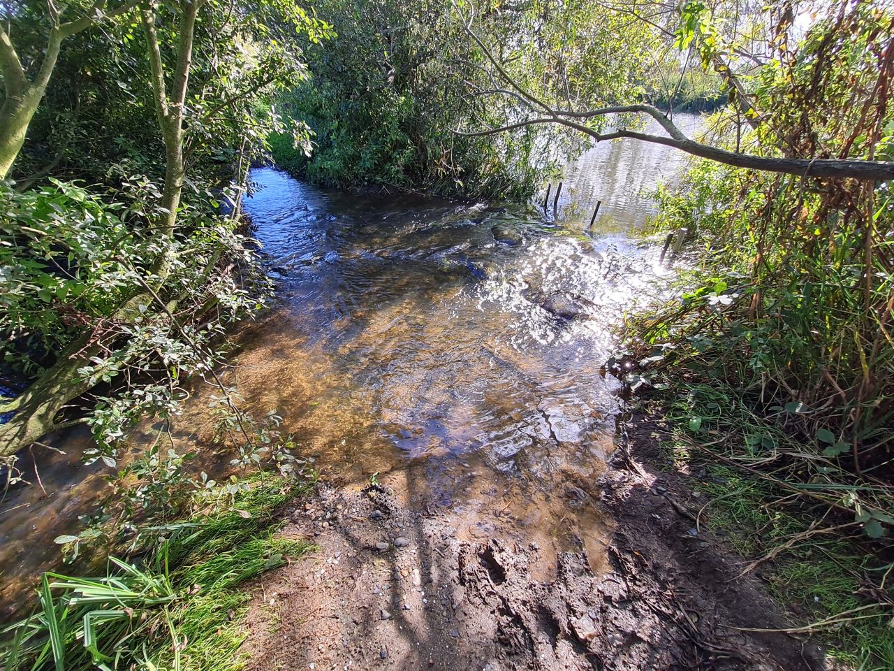 2024-10-03 03 Flooded River Path.jpg