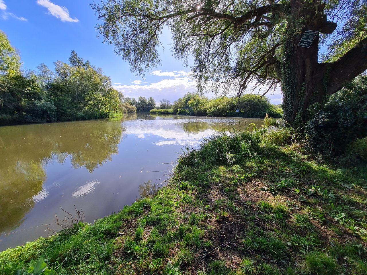 2024-10-03 04 River Waveney.jpg