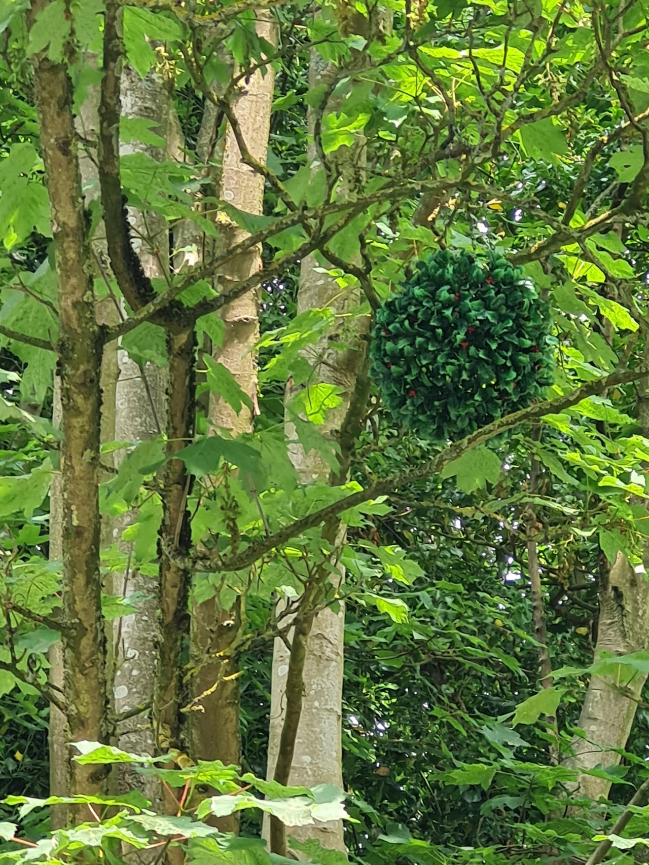 2025-06-01 01 Beccles and Geldeston.jpg