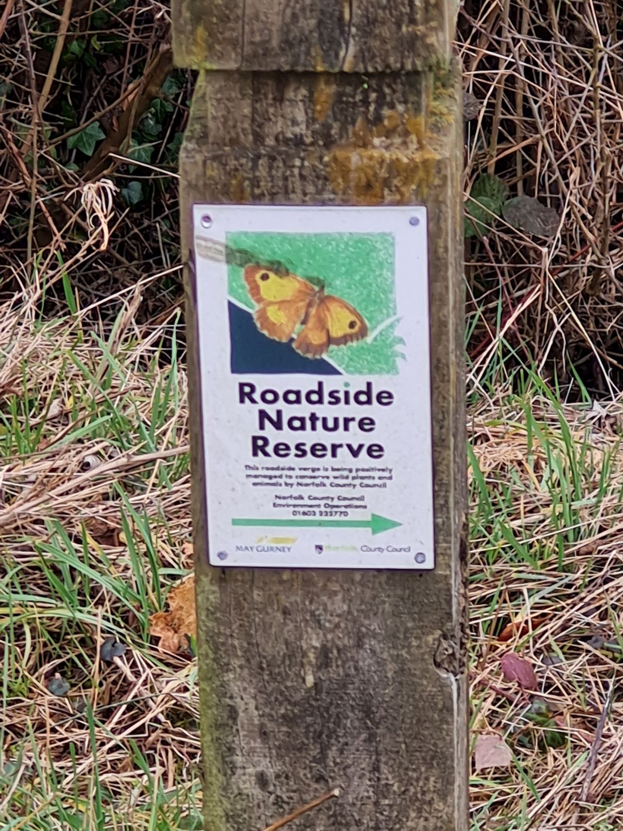 2025-02-13 01 Stockton.jpg