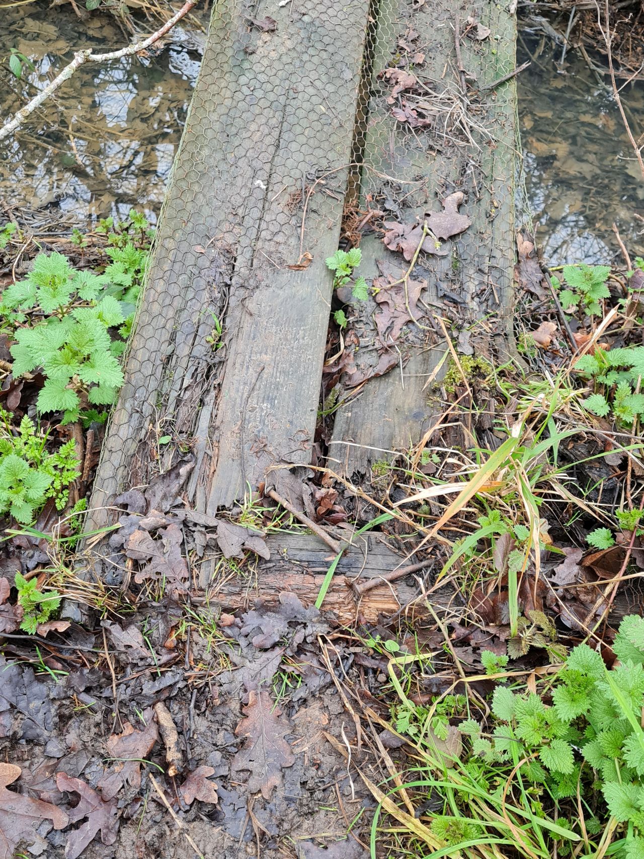 2025-02-13 02 Stockton.jpg