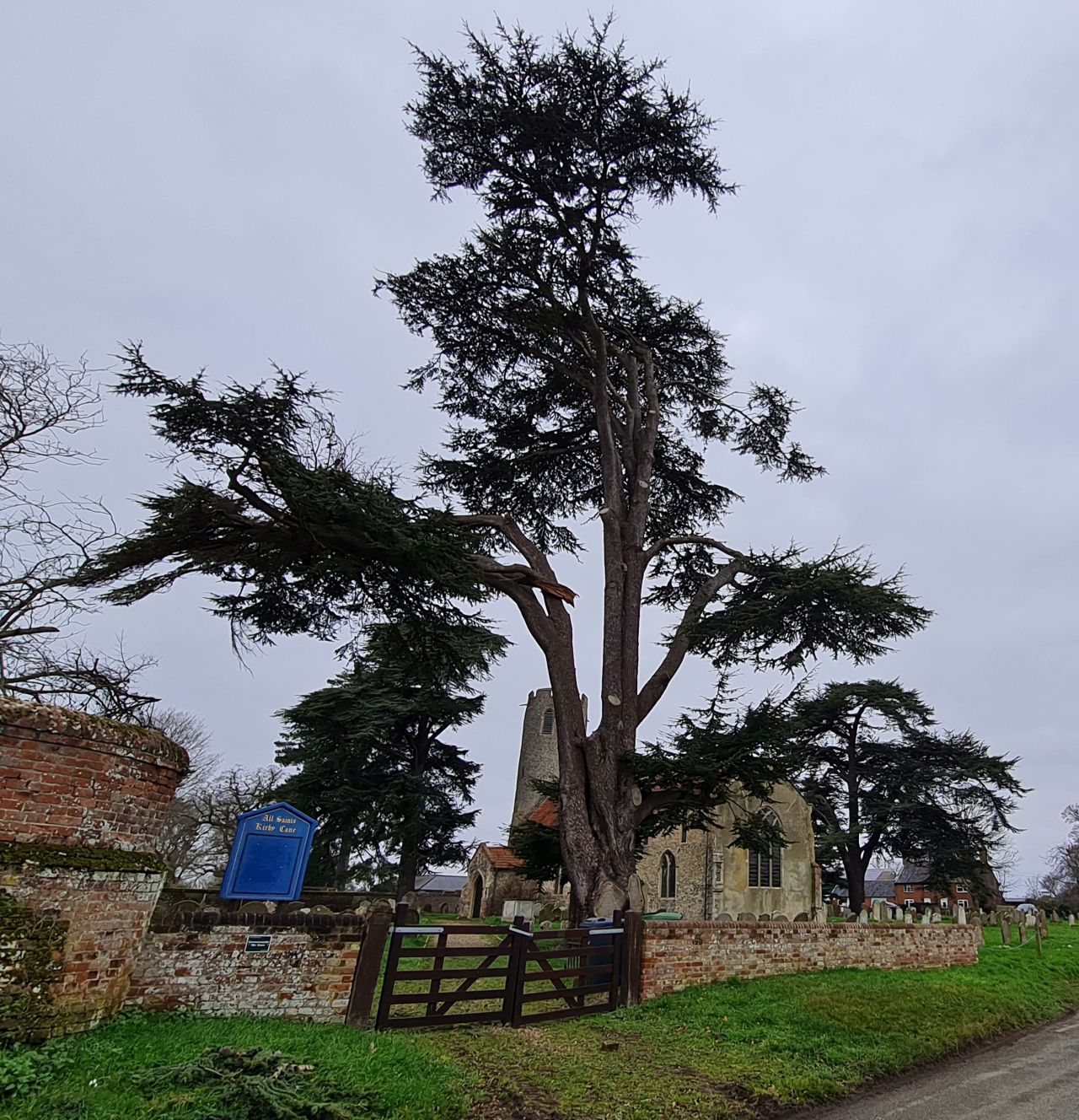 2025-02-13 10 Kirby Cane All Saints.jpg