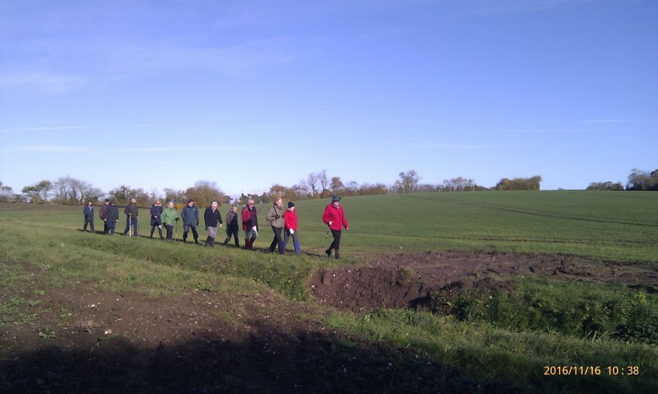 2016-11-16 03 Shadingfield Area.jpg