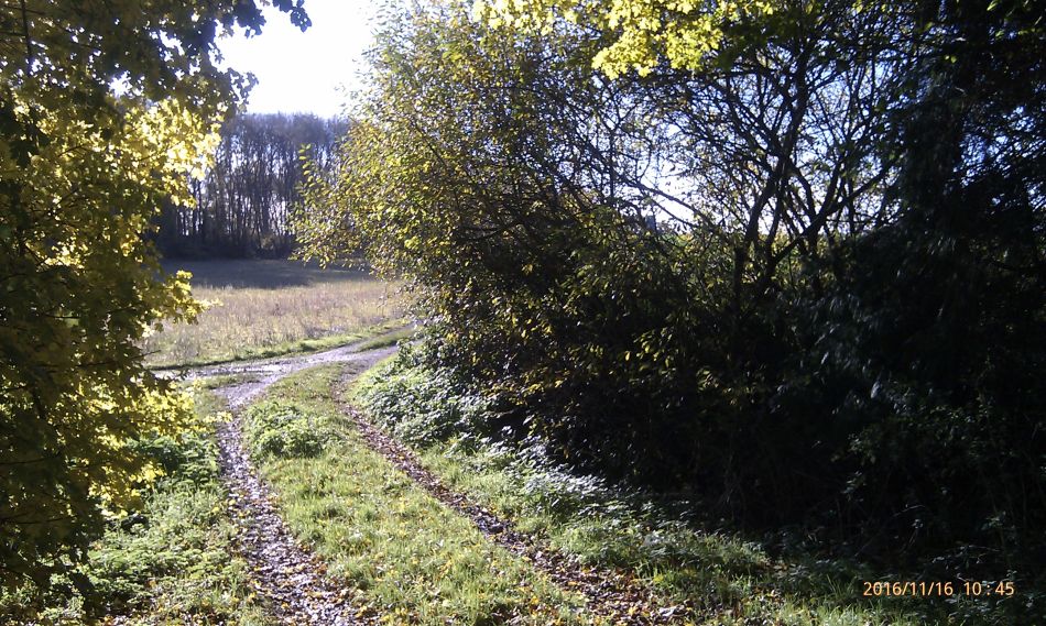 2016-11-16 04 Shadingfield Area.jpg