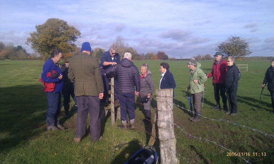 2016-11-16 10 Shadingfield Area.jpg