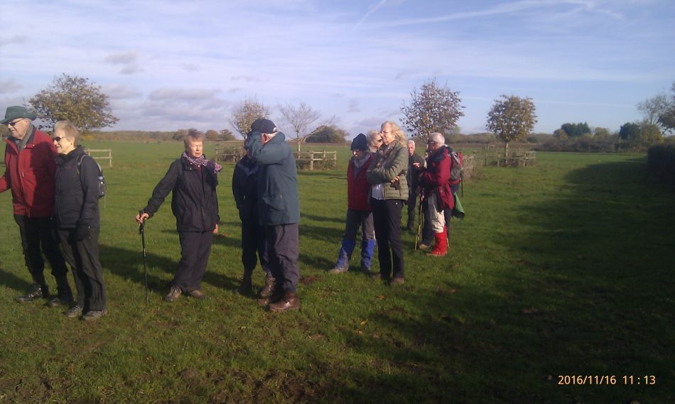 2016-11-16 11 Shadingfield Area.jpg