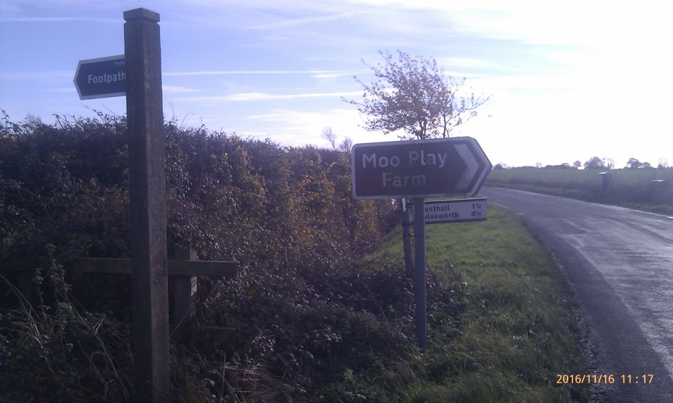 2016-11-16 13 Shadingfield Area.jpg