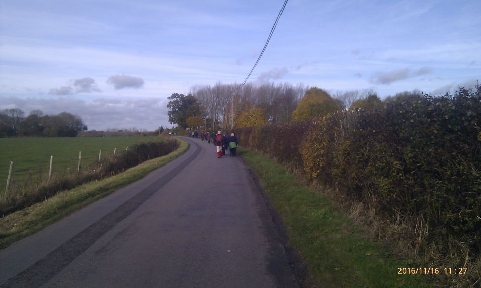 2016-11-16 15 Shadingfield Area.jpg