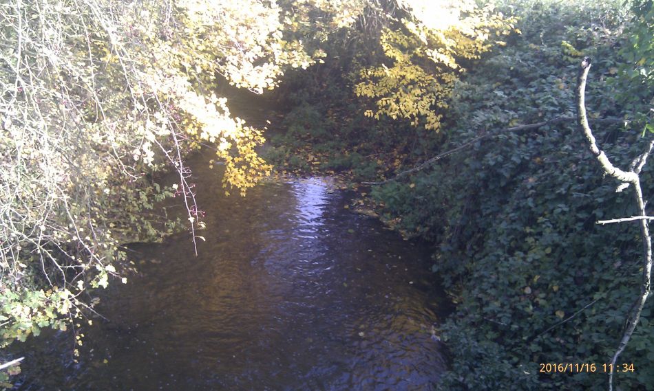 2016-11-16 17 Shadingfield Area.jpg