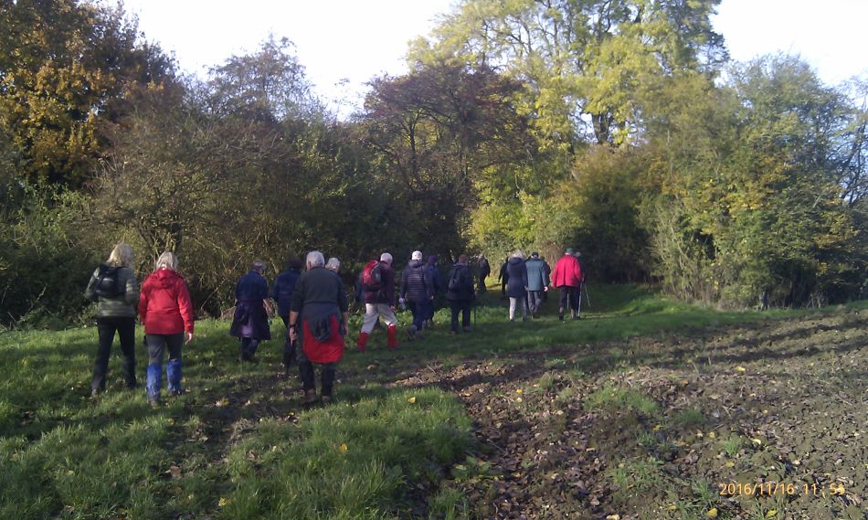 2016-11-16 20 Shadingfield Area.jpg