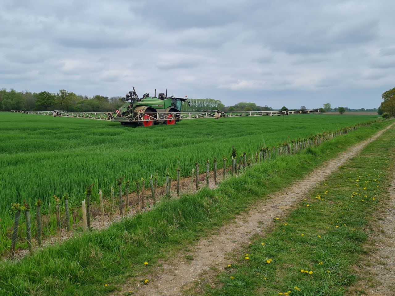 2025-04-25 15 Elmswell.jpg