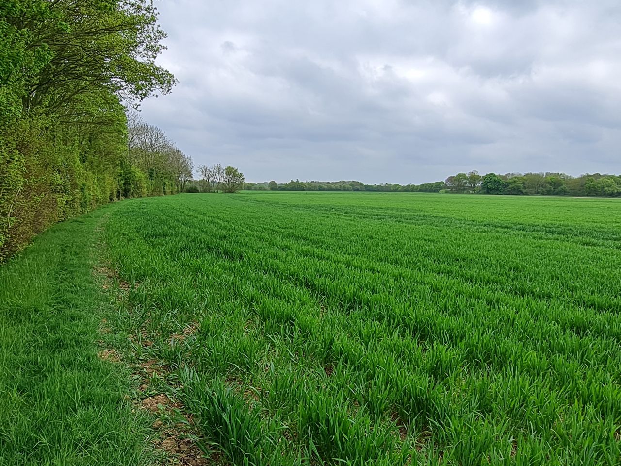 2025-04-25 17 Elmswell.jpg