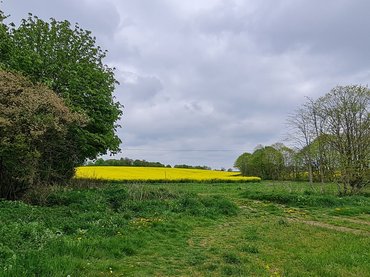 2025-04-25 18 Elmswell.jpg