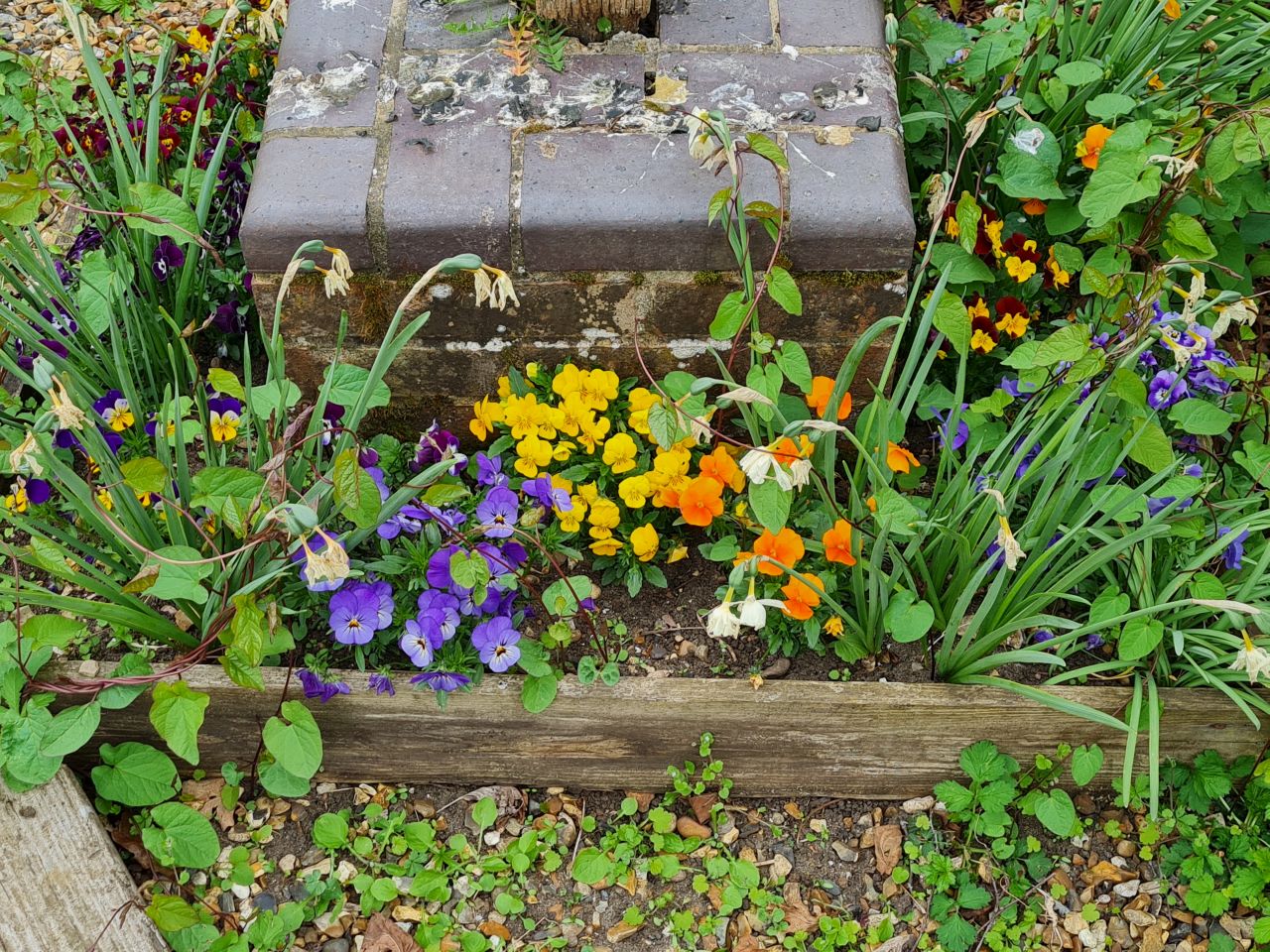 2025-04-25 29 Elmswell.jpg