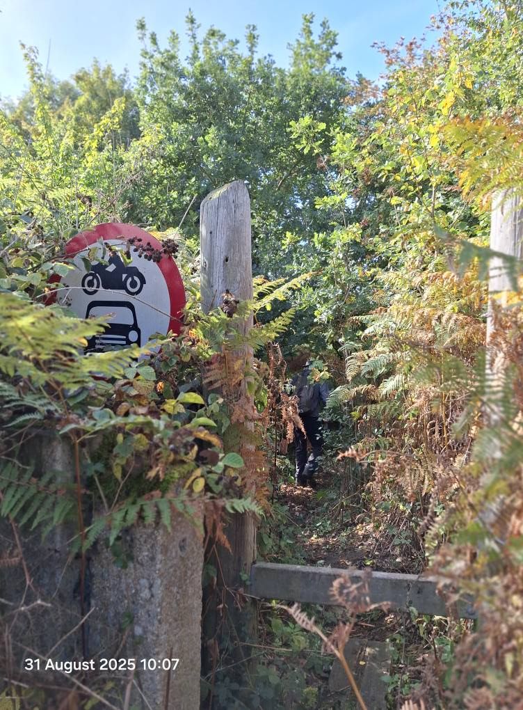 2025-08-31 20 Metfield.jpg