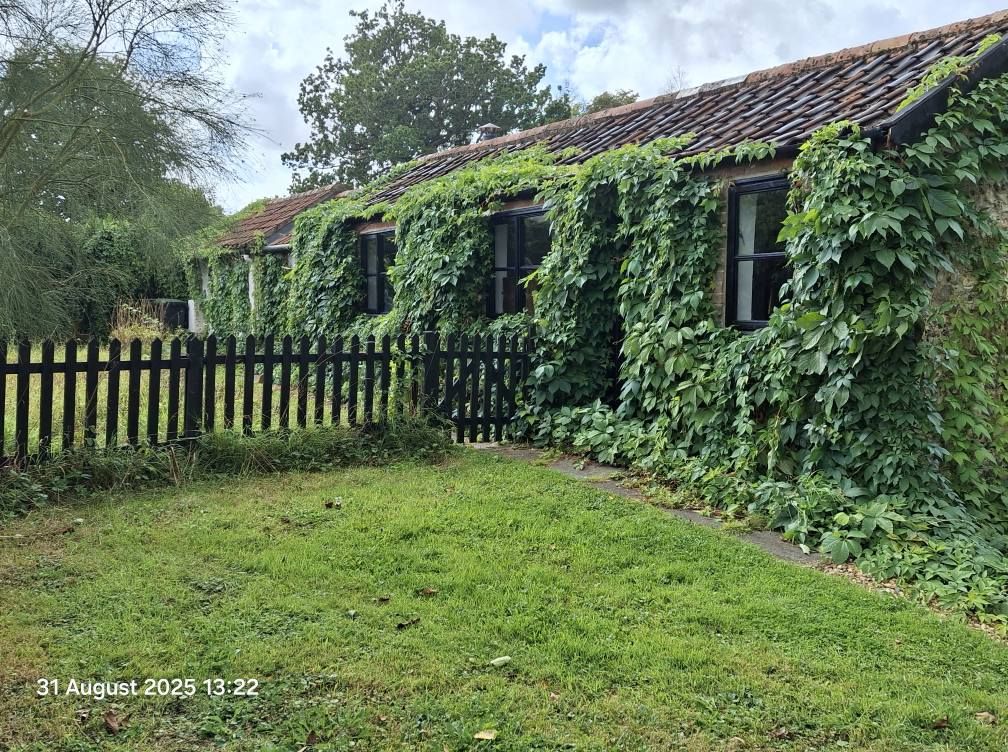 2025-08-31 21 Metfield.jpg