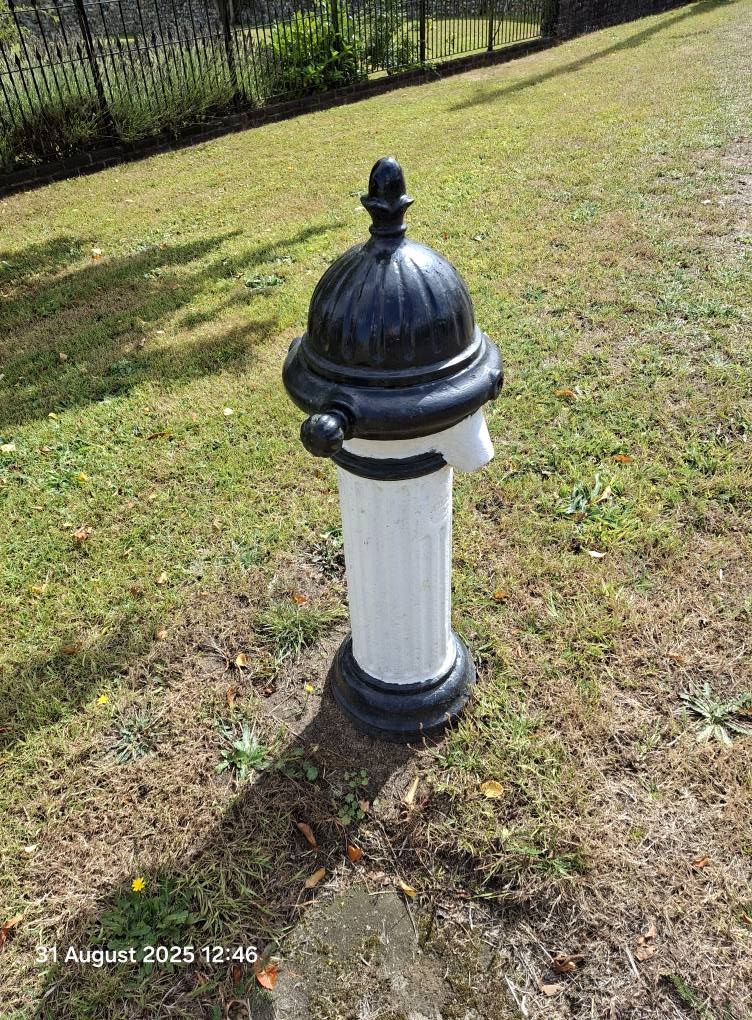 2025-08-31 22 Metfield.jpg