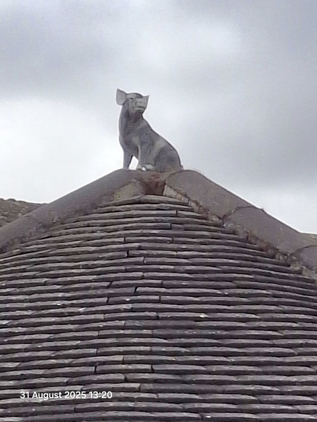 2025-08-31 25 Metfield.jpg