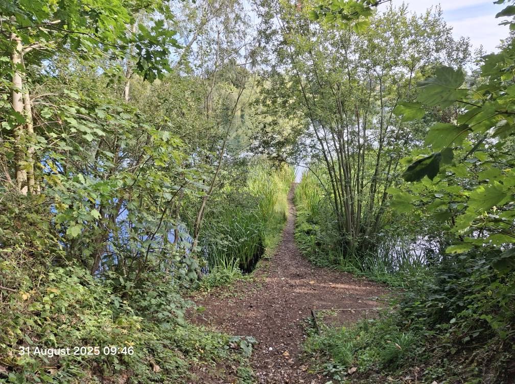 2025-08-31 27 Metfield.jpg