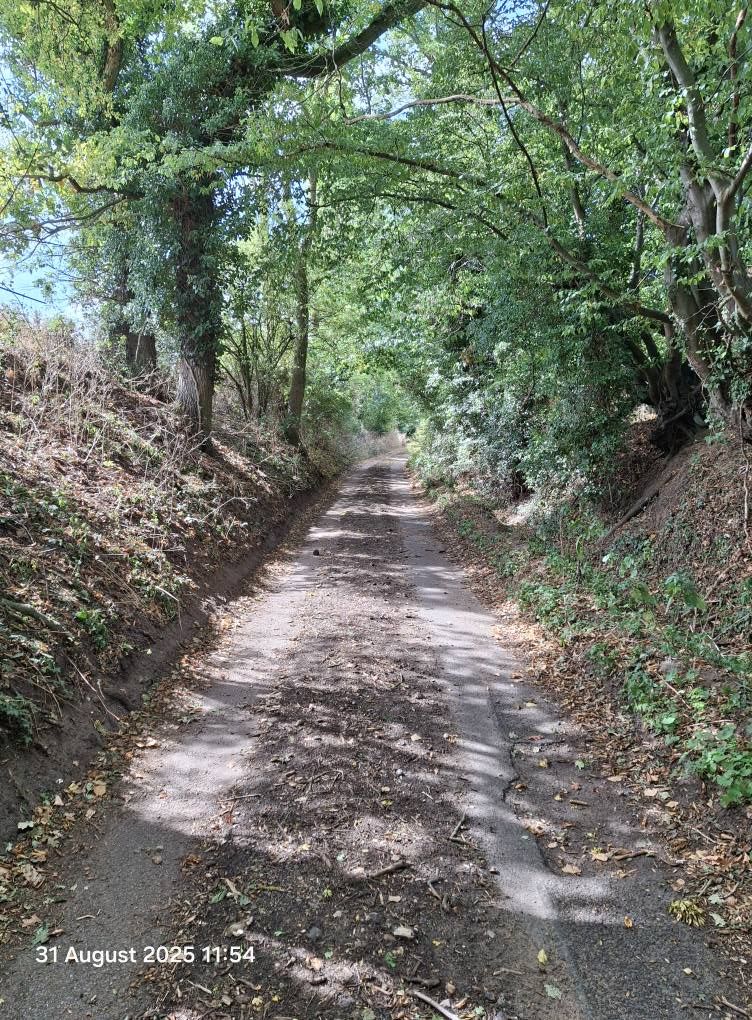 2025-08-31 29 Metfield.jpg