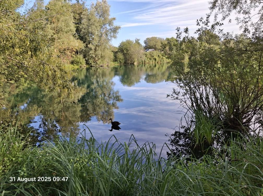 2025-08-31 34 Metfield.jpg