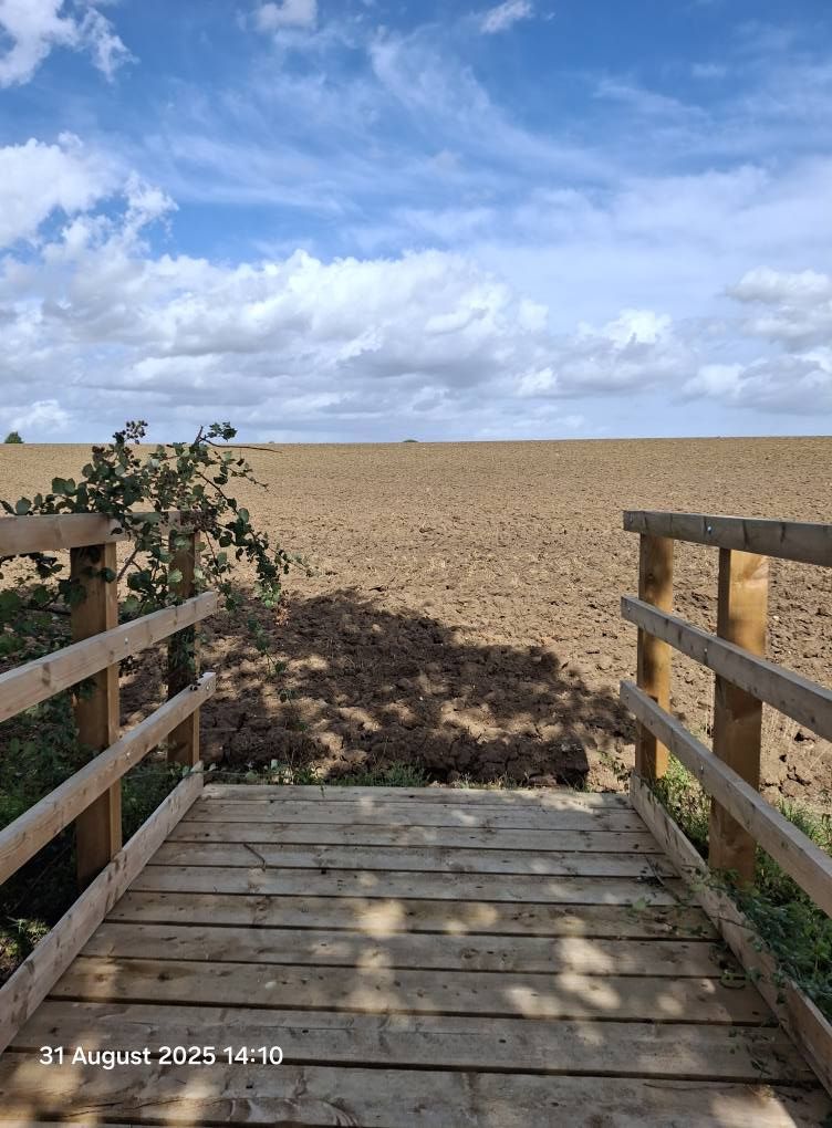 2025-08-31 35 Metfield.jpg