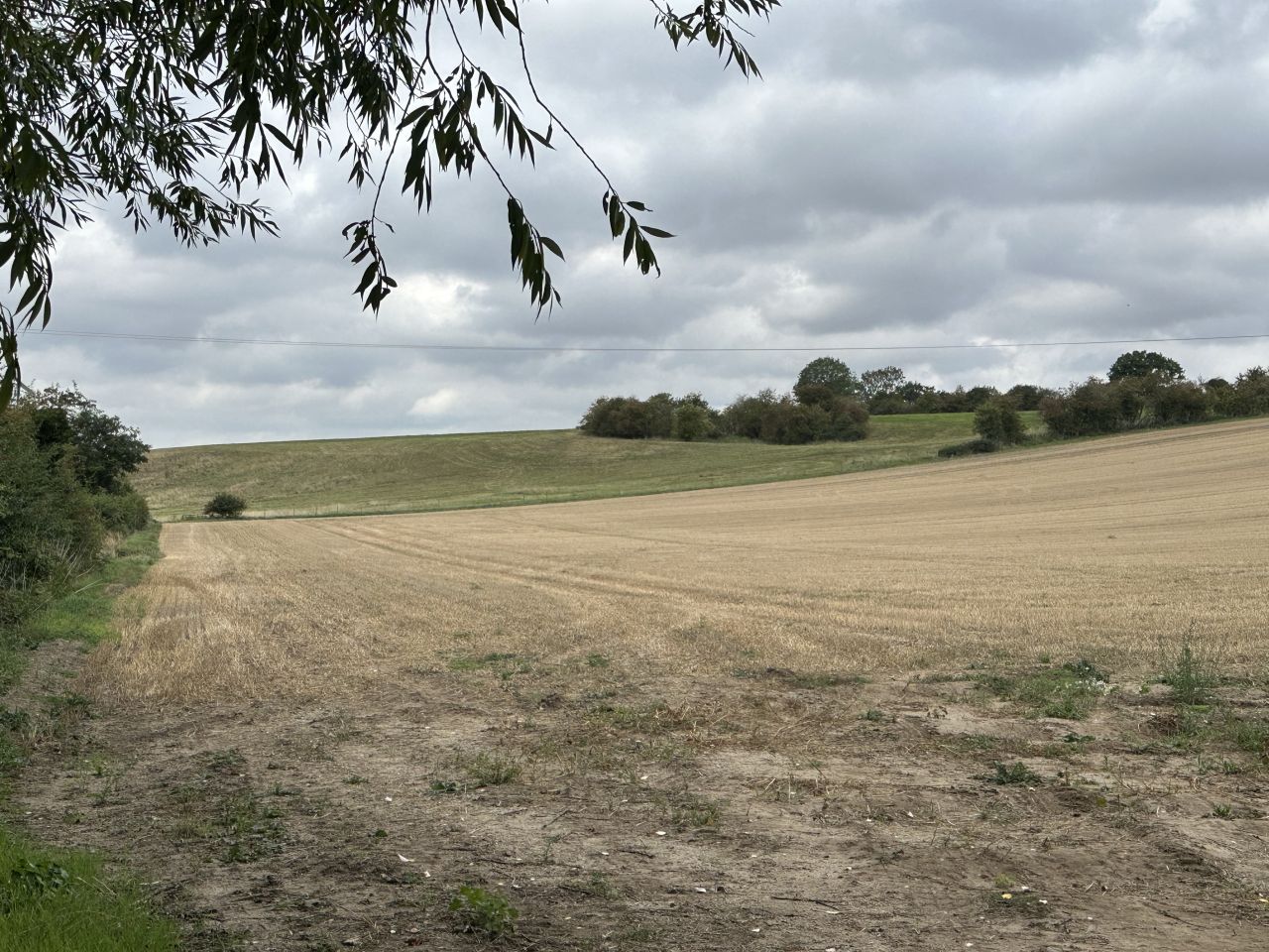 2025-08-31 39 Metfield.jpg