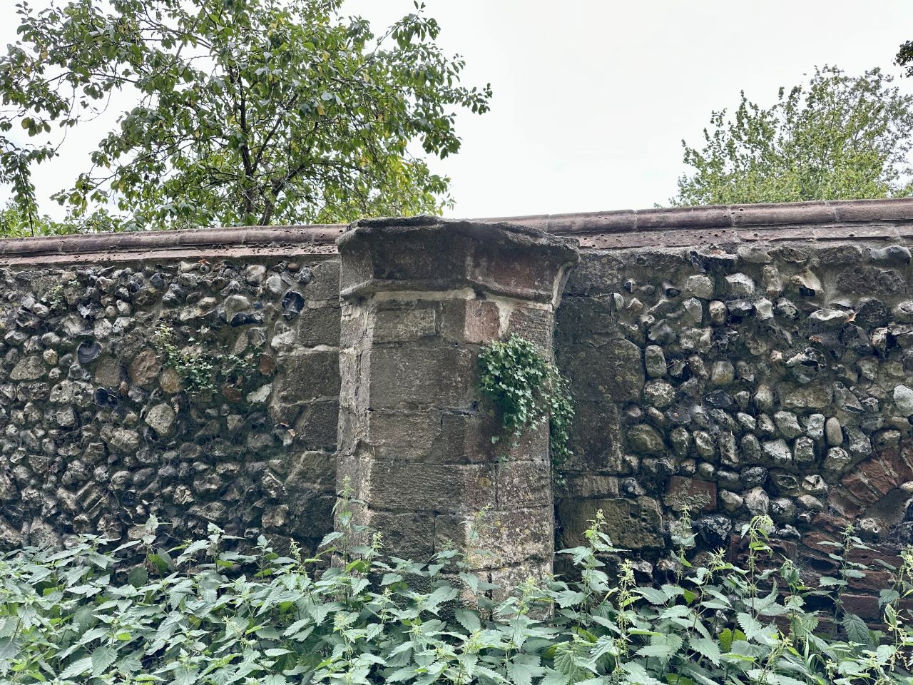 2025-08-31 42 Metfield.jpg