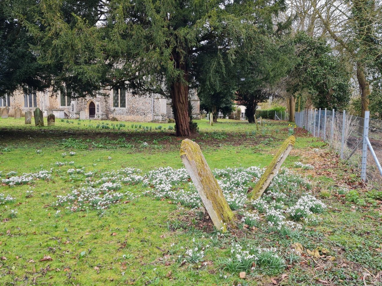 2025-02-23 34 Thorndon All Saints.jpg