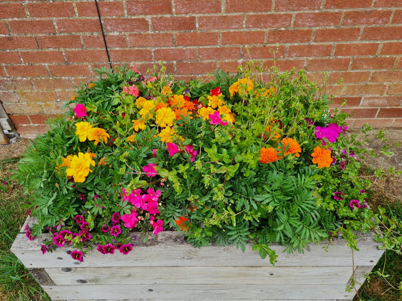 2025-06-24 06 Wyverstone and Westhorpe.jpg