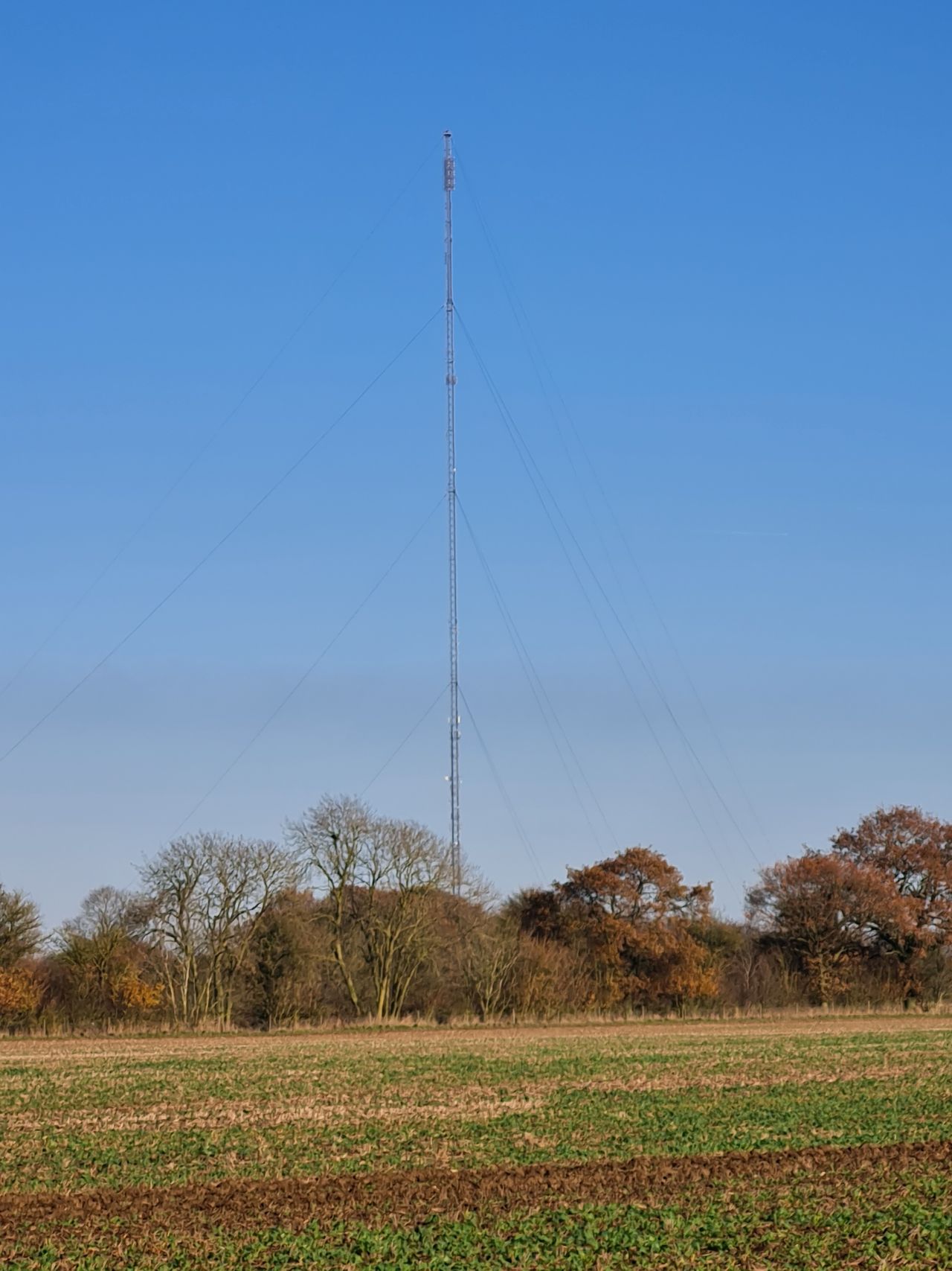 2024-11-28 06 Mendlesham TV Mast.jpg