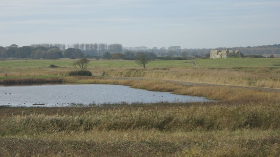 2020-10-12 14 Sizewell and Minsmere.jpg