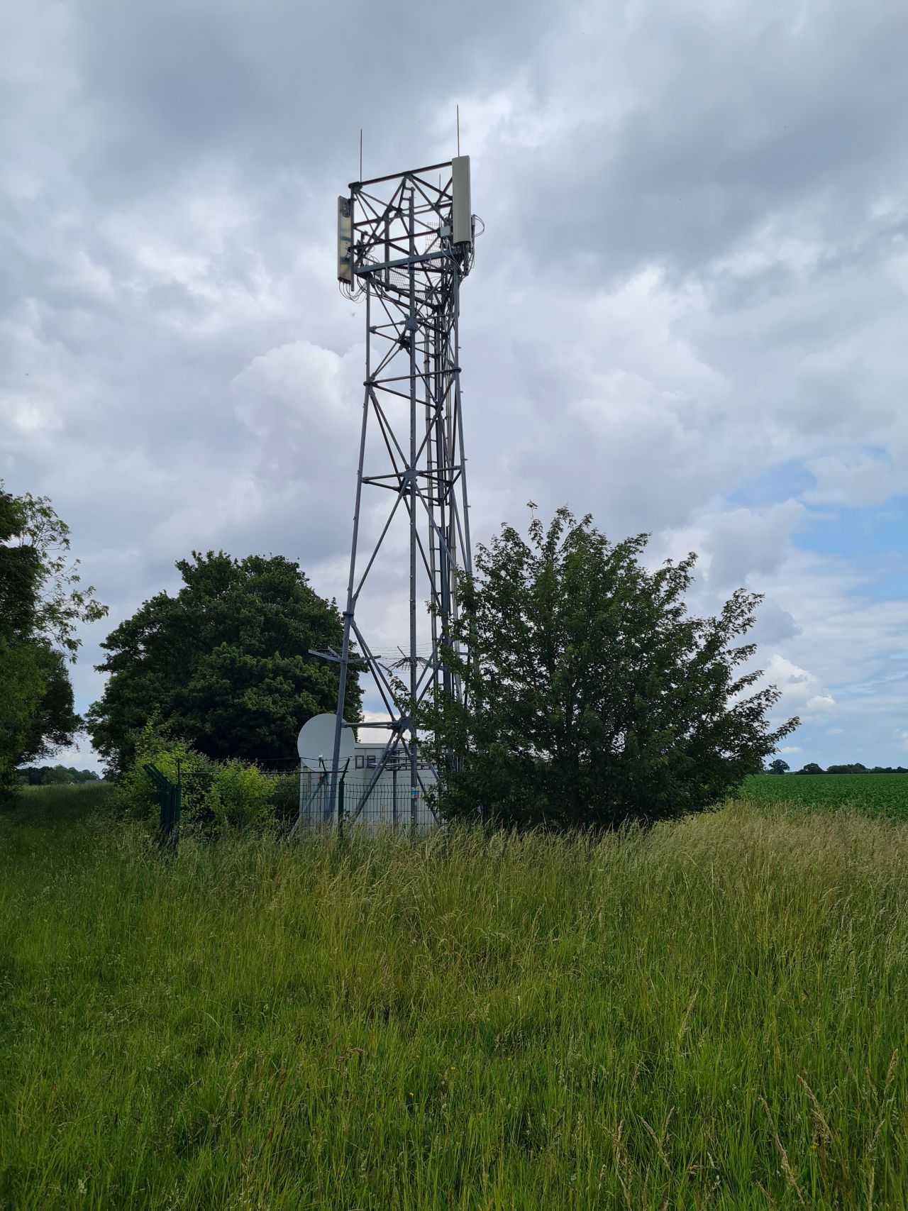 2025-06-16 40 Antennas.jpg