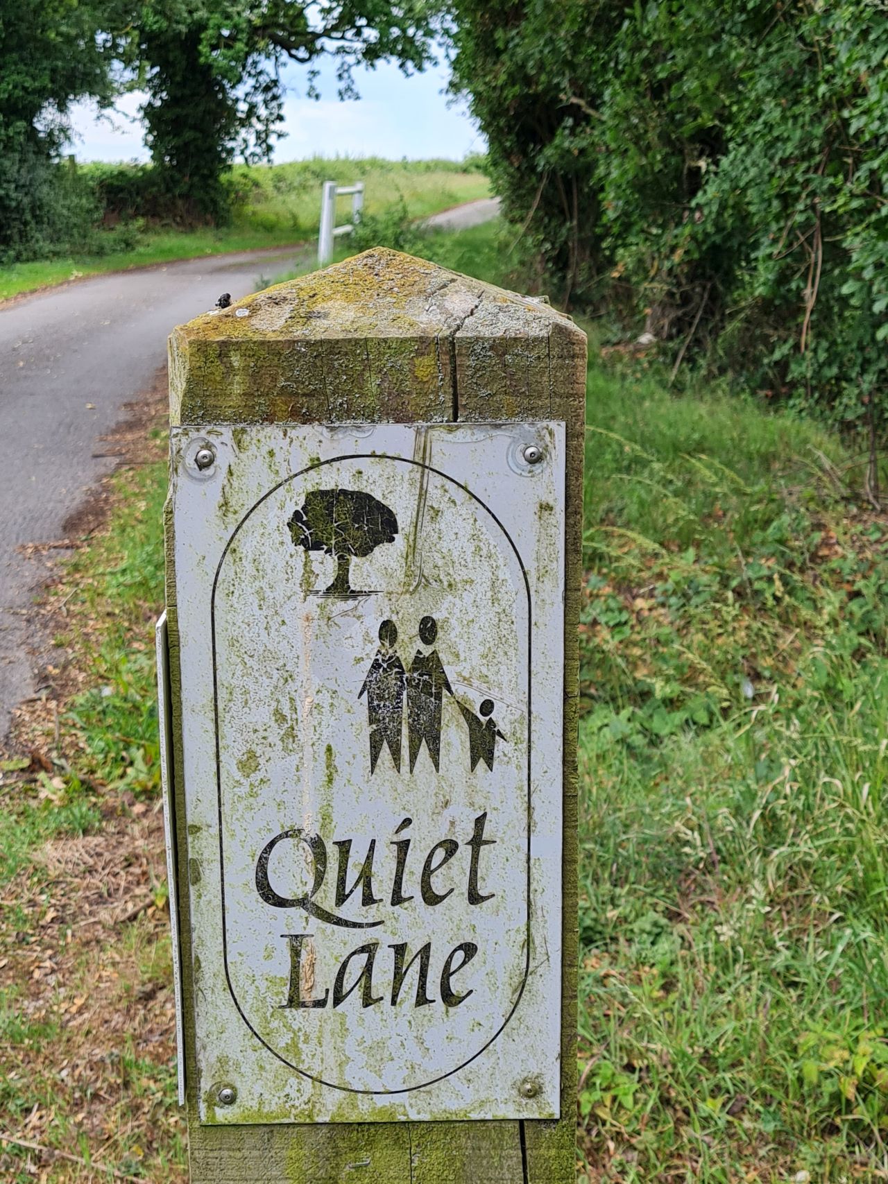 2025-06-16 42 Tivetshall Ram Shimpling and DIckleburgh.jpg