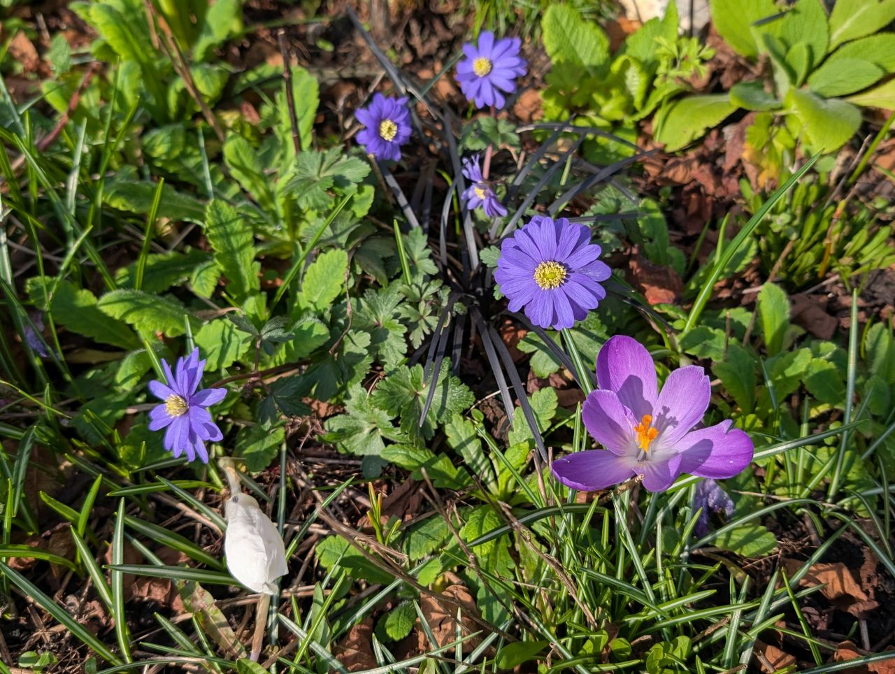 2026-03-02 03 Lavenham and Long Melford.jpg