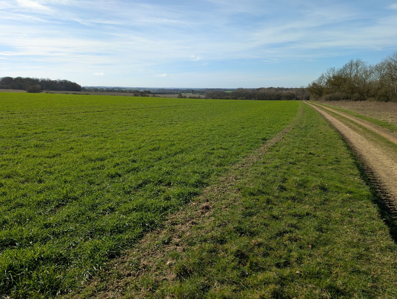 2026-03-02 27.Lavenham and Long Melford.jpg
