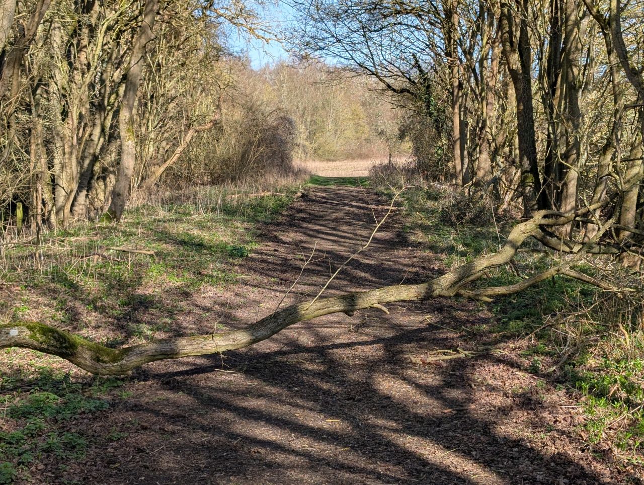 2026-03-02 29 Lavenham and Long Melford.jpg