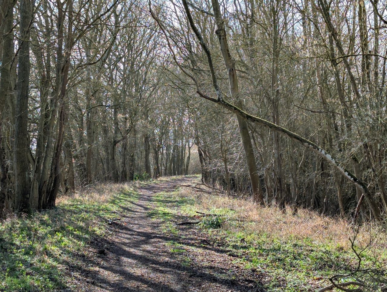 2026-03-02 30 Lavenham and Long Melford.jpg