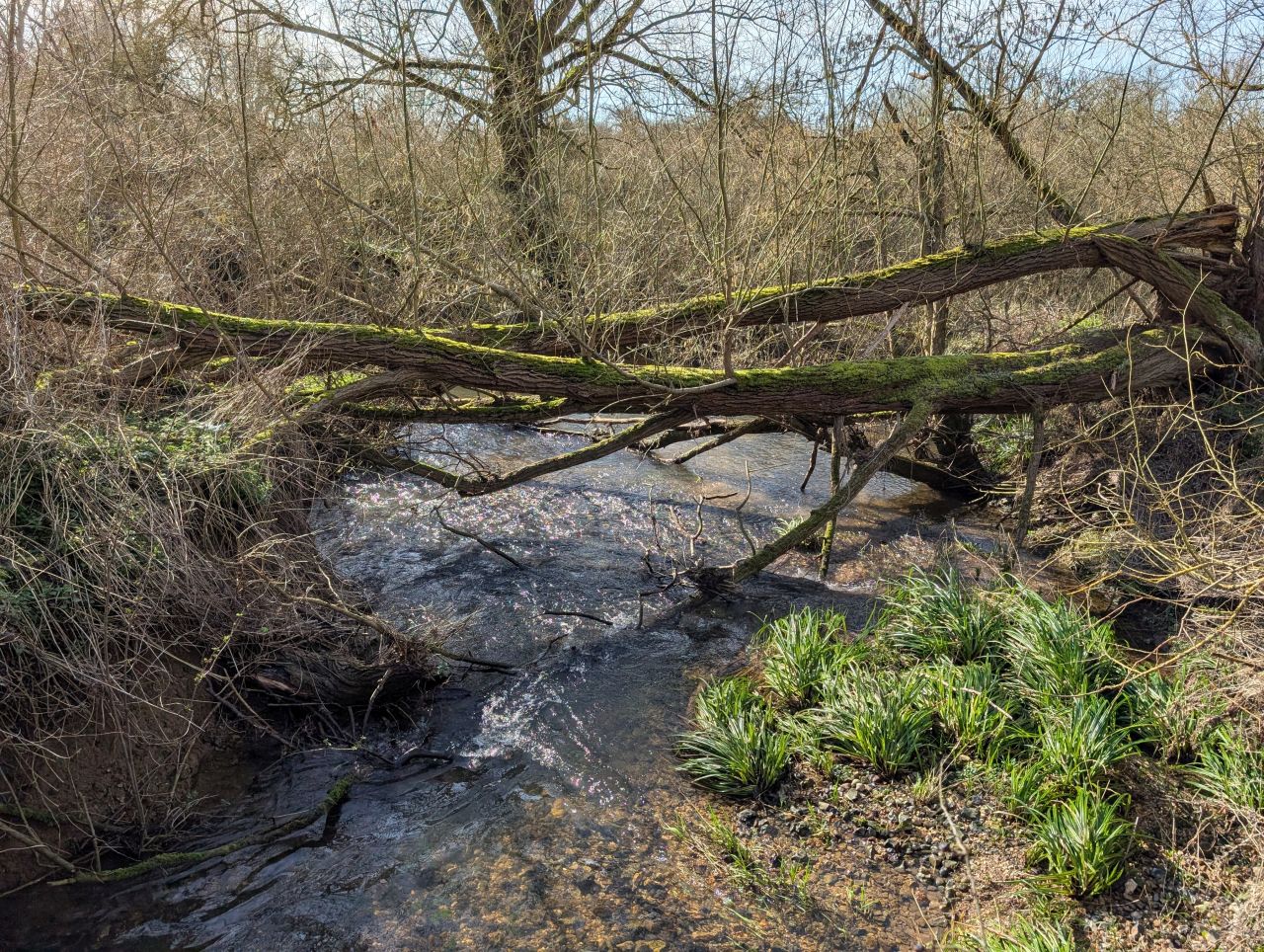 2026-03-02 31 Lavenham and Long Melford.jpg