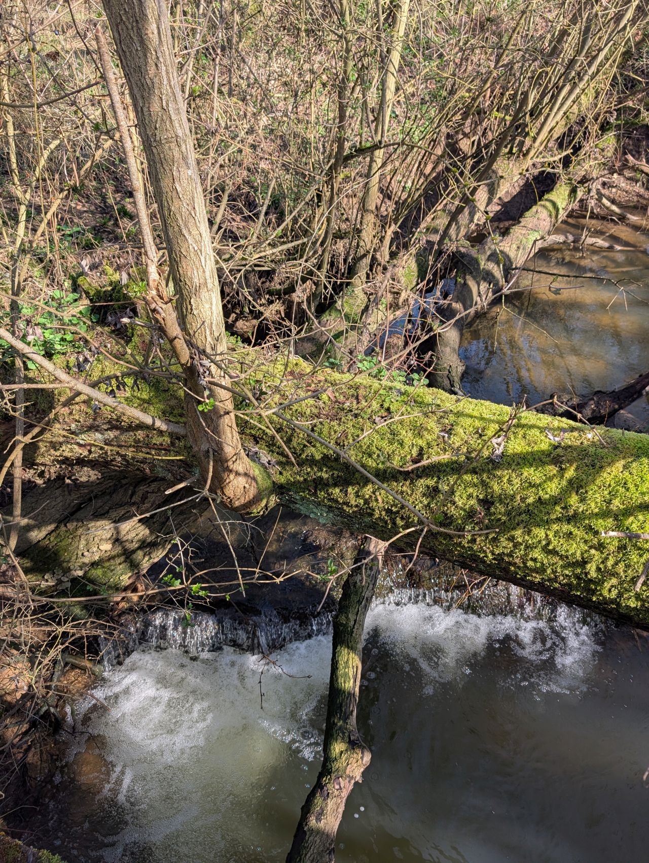 2026-03-02 32 Lavenham and Long Melford.jpg