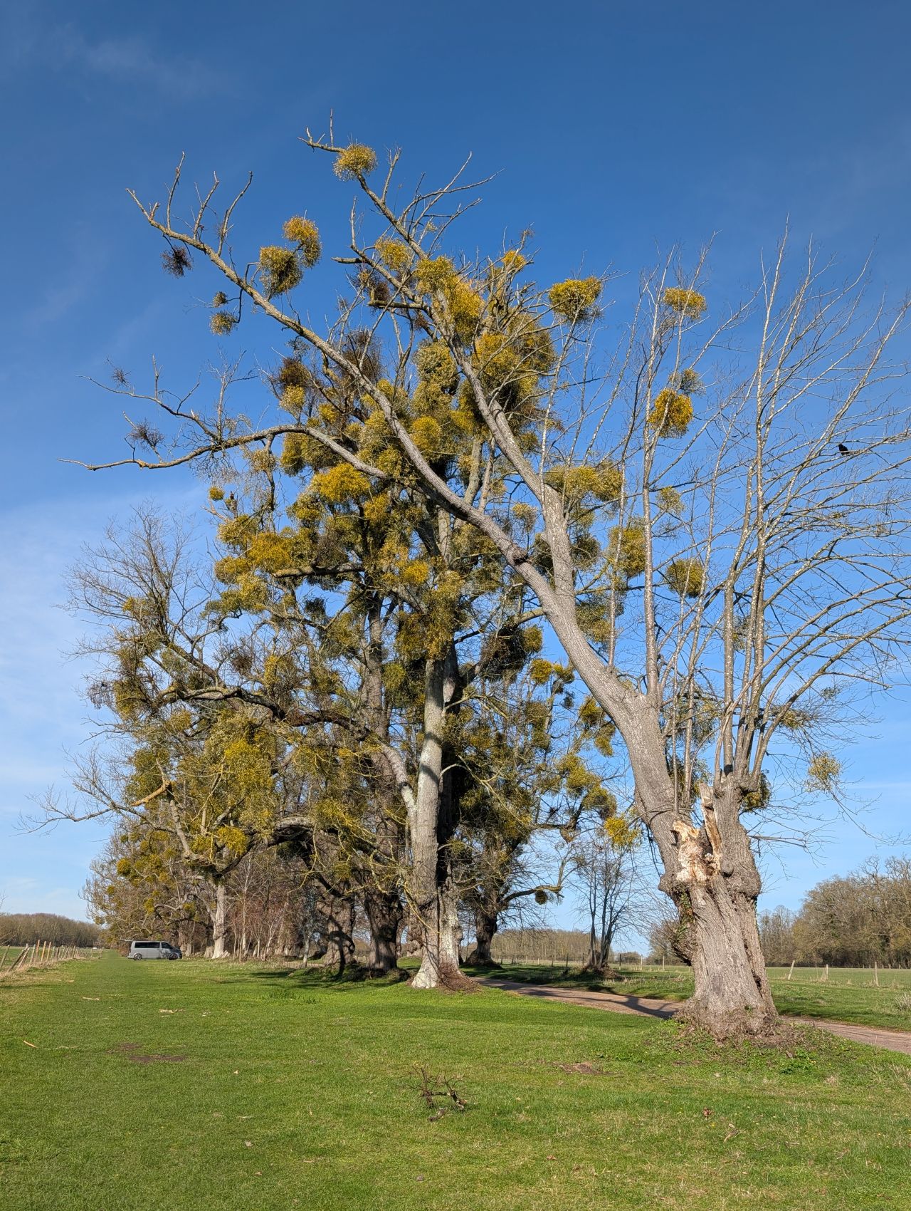 2026-03-02 36 Lavenham and Long Melford.jpg