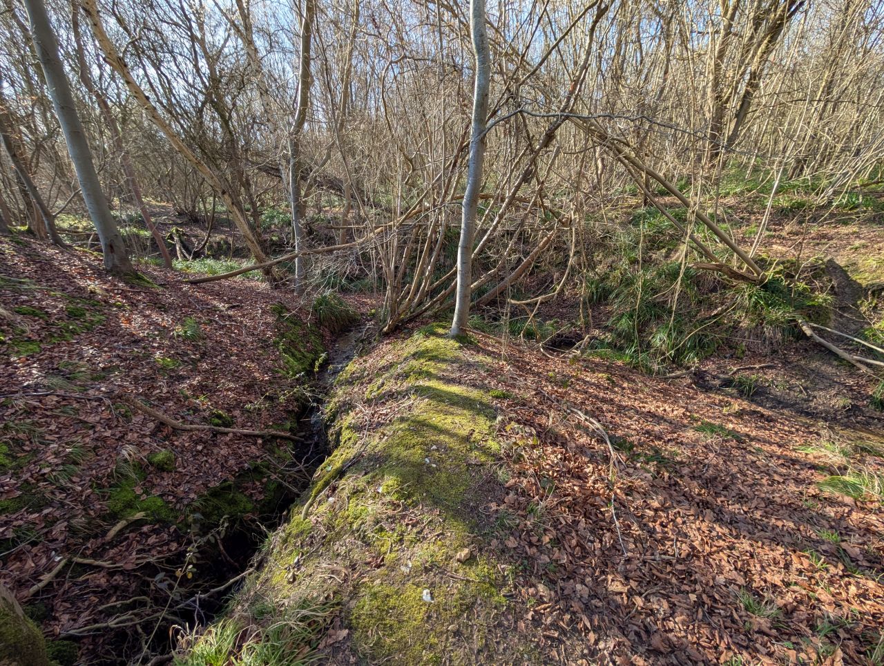 2026-03-02 38 Lavenham and Long Melford.jpg