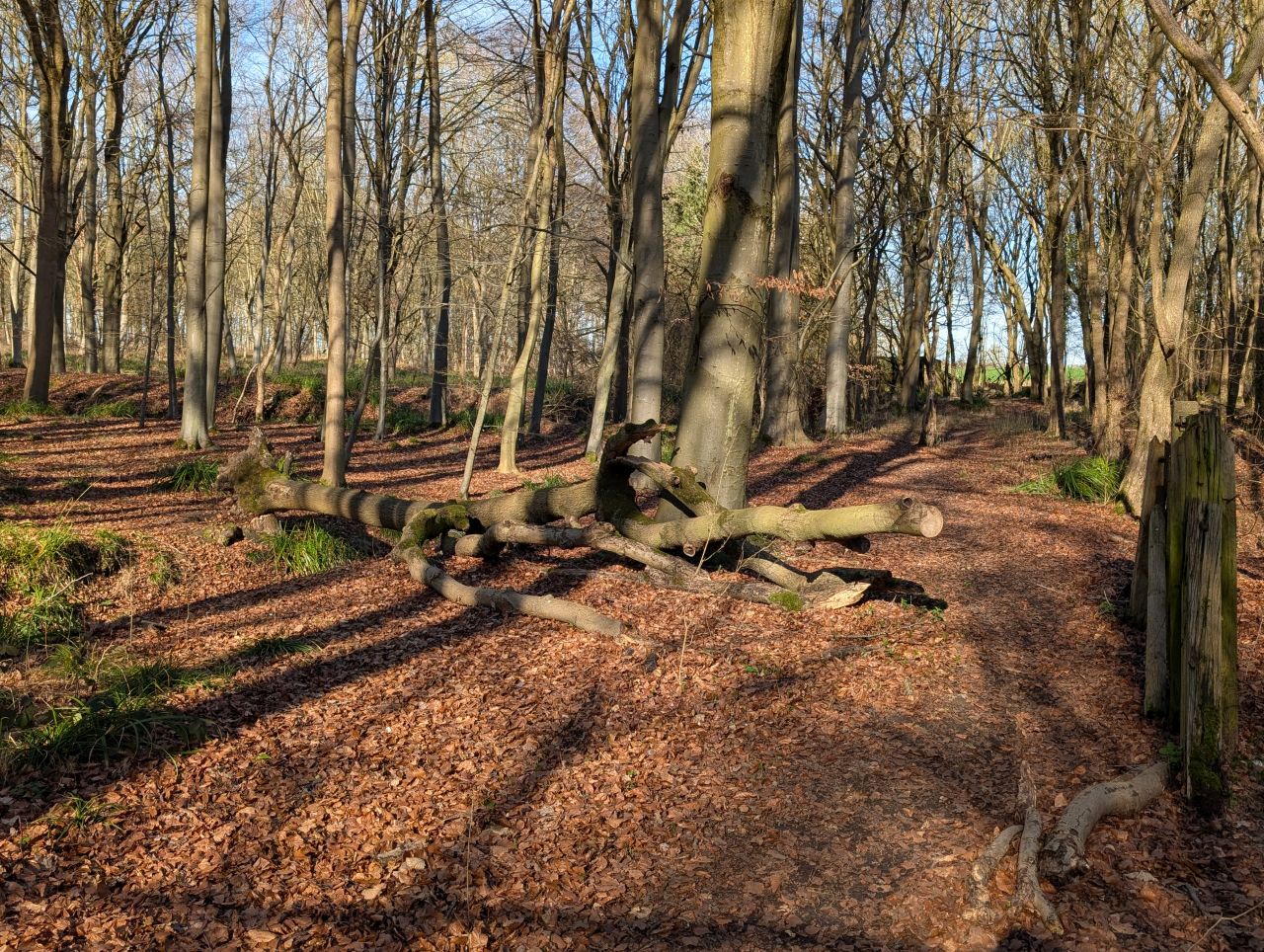 2026-03-02 40 Lavenham and Long Melford.jpg